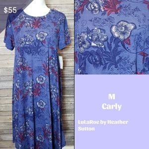 Medium LuLaRoe Carly NWT
